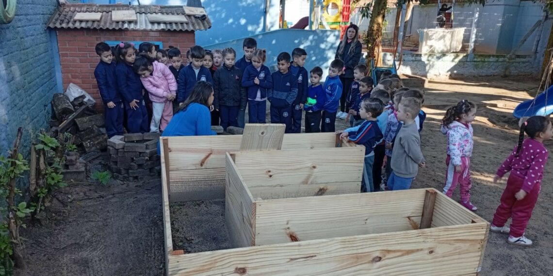 Professora de Campo Bom é finalista em prêmio de sustentabilidade