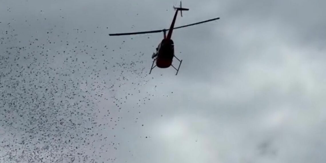 Funerária Rost realiza homenagem com chuva de pétalas no Dia de Finados em Sapiranga