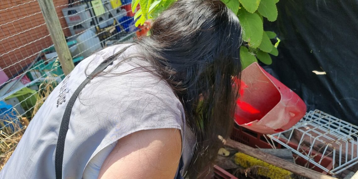 Vigilância Ambiental realiza Levantamento Rápido de Índices para Aedes aegypti (LIRAa)
