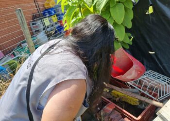 Vigilância Ambiental realiza Levantamento Rápido de Índices para Aedes aegypti (LIRAa)