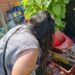 Vigilância Ambiental realiza Levantamento Rápido de Índices para Aedes aegypti (LIRAa)