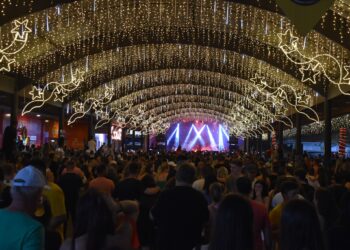Os shows que vão agitar a Dezemberfest 2025 em Nova Hartz