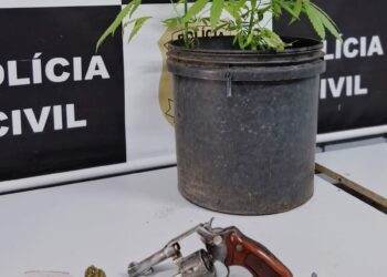 Homem é preso em Campo Bom com arma e pés de maconha