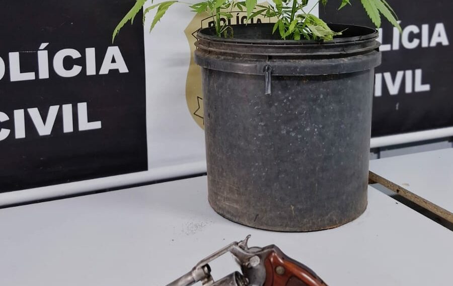 Homem é preso em Campo Bom com arma e pés de maconha