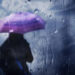 Chuva extrema: Estado pode registrar até 300 mm com atuação de rio atmosférico