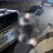 Cão baleado em Campo Bom passa bem e Corregedoria da BM abre investigação