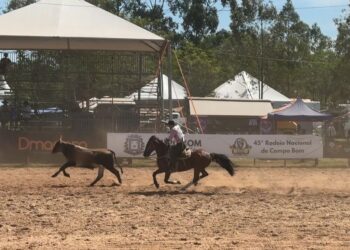 Rodeio de Campo Bom 2026 projeta recorde  de público, grandes prêmios e entrada gratuita