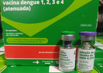 Vacinação contra a dengue avança  na região e reforça alerta à prevenção