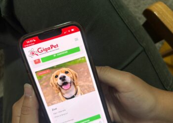 Giga Net lança o Giga Pet, para ajudar a localizar cães perdidos ou que estão precisando de um lar