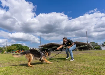 Sapiranga organiza 5º Torneio de Cães de Polícia