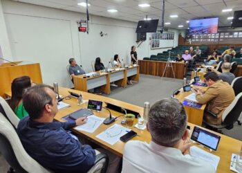 Vereadores aprovam todos os projetos em sessão da Câmara de Vereadores de Sapiranga