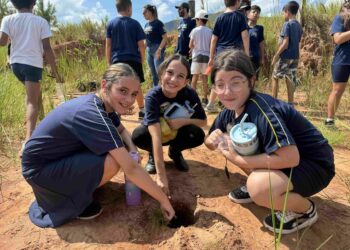 Educação ambiental marca ação com plantio de mudas em nascente de Sapiranga