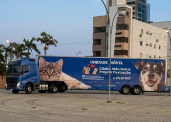 Araricá realiza mutirão de castração gratuita de animais no dia 27 de abril