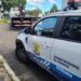 Guarda de Trânsito localiza moto roubada abandonada em área de mato