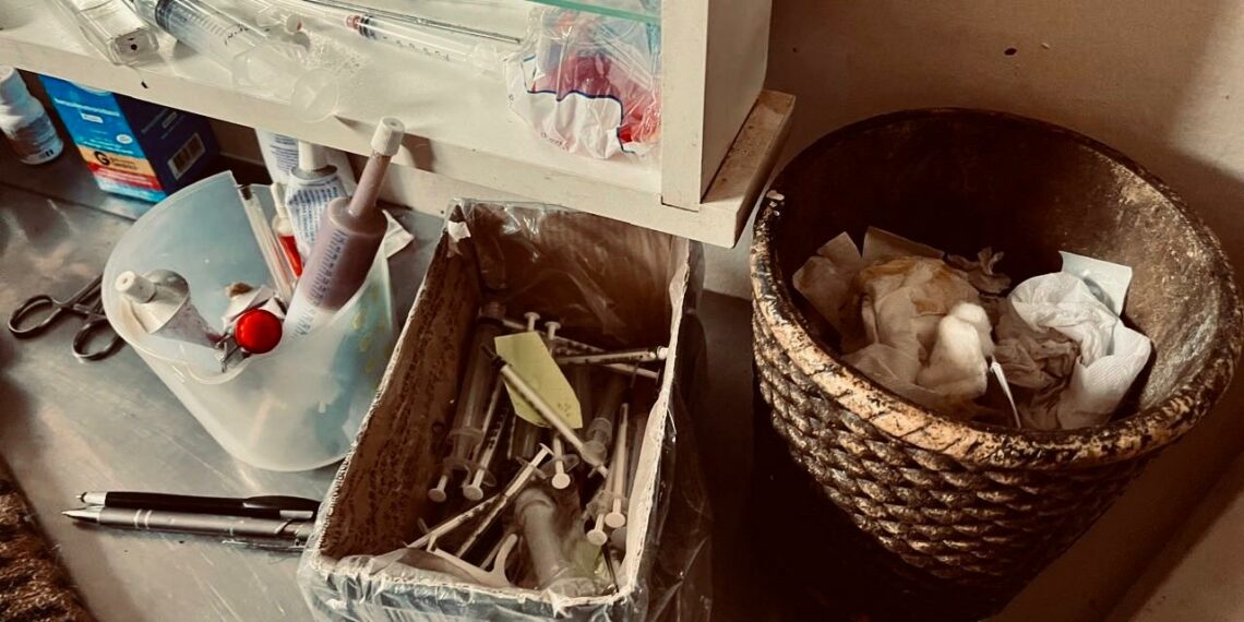 Cães e gatos congelados são encontrados em freezer de canil interditado em Dois Irmãos
