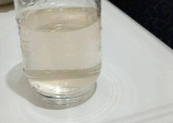 Algas no Rio dos Sinos causam gosto e cheiro na água da região