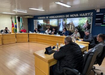 Proteção infantil e saúde mental nas escolas pautam sessão da Câmara de Vereadores de Nova Hartz
