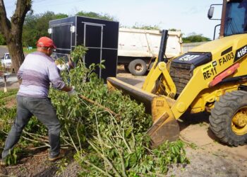 Prefeitura de Campo Bom inicia ações do calendário anual de podas