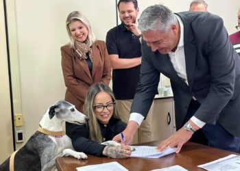 Campo Bom amplia políticas ambientais com novos  investimentos em proteção animal e preservação