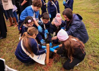 Corsan lança projeto para produzir até 50 mil mudas nativas por ano com água de reuso