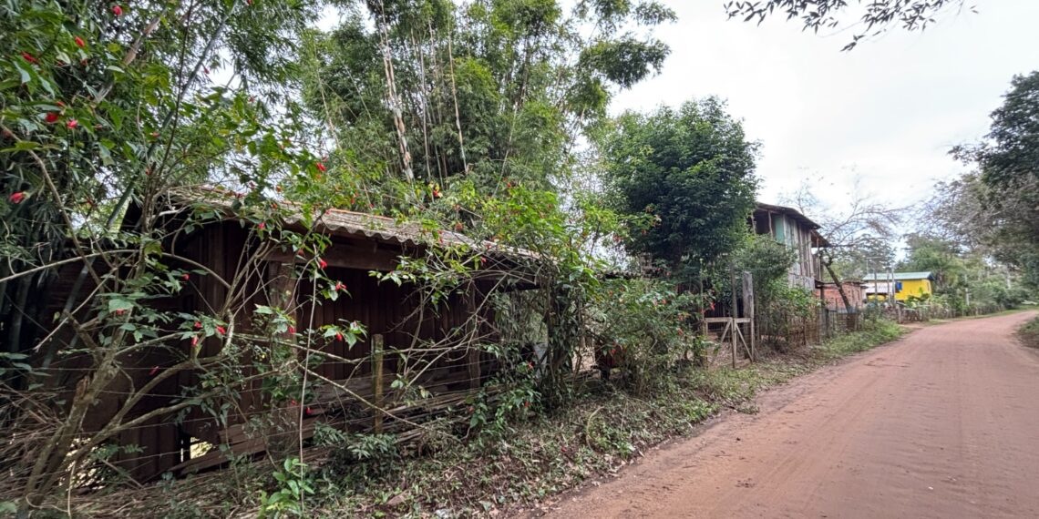 Importância da mata ciliar contrasta com avanço de ocupações