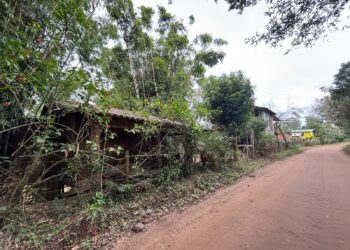 Importância da mata ciliar contrasta com avanço de ocupações