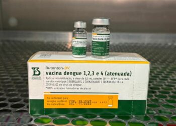 Após duas mortes suspeitas, Ministério da Saúde interrompe vacinação da dengue