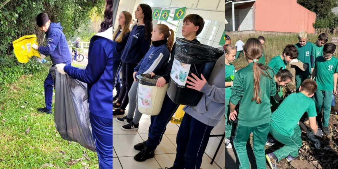 Foco na educação ambiental: ações no presente com mudanças para o futuro