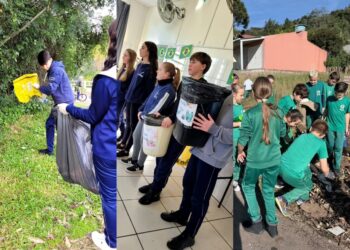 Foco na educação ambiental: ações no presente com mudanças para o futuro