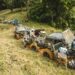 Transcatarina reúne cerca de 1 mil pessoas e nova-hartzenses estão confirmados
