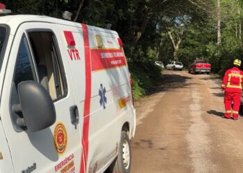 Bombeiros voluntários usam cães farejadores em buscas por morador de Nova Hartz