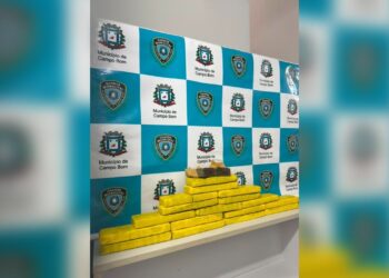 Guarda Municipal descobre depósito de drogas em residência e apreende 11kg de maconha em Campo Bom