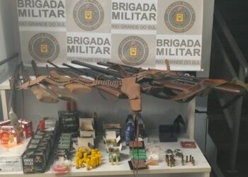 Brigada Militar prende homem por violência doméstica e apreende armas, em Dois Irmãos