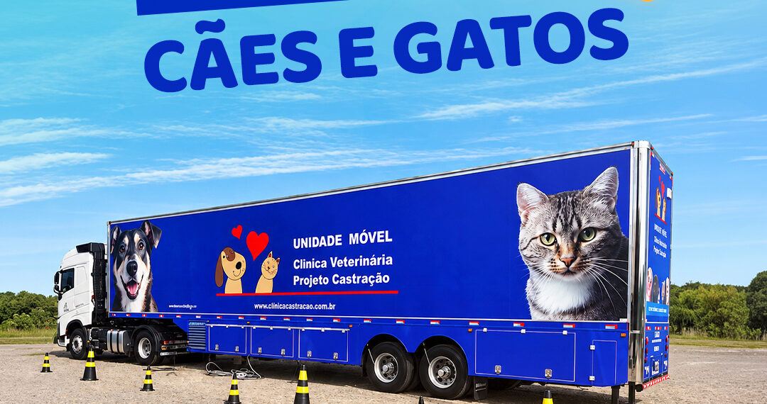 Sapiranga terá mutirão gratuito de castração para cães e gatos