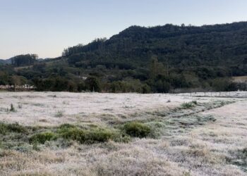 Frio intenso deve chegar ao Estado e pode levar temperaturas abaixo de zero