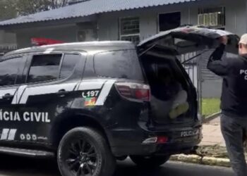 Polícia Civil prende ladrão investigado por furtos e danos ao patrimônio público em Três Cororas