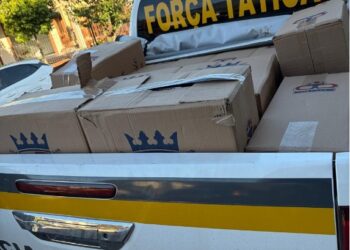 Operação resulta na apreensão de 7 mil maços de cigarros contrabandeados em Sapiranga