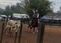 Tiro de laço e danças tradicionais são atrações na Semana Farroupilha de Campo Bom