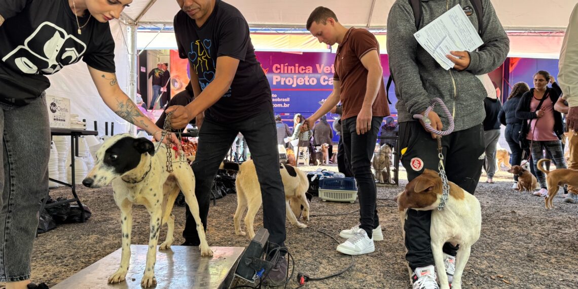 Ação gratuita amplia proteção animal e faz mais de 250 castrações em Sapiranga